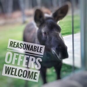 Reasonable Offers Always Welcome! 